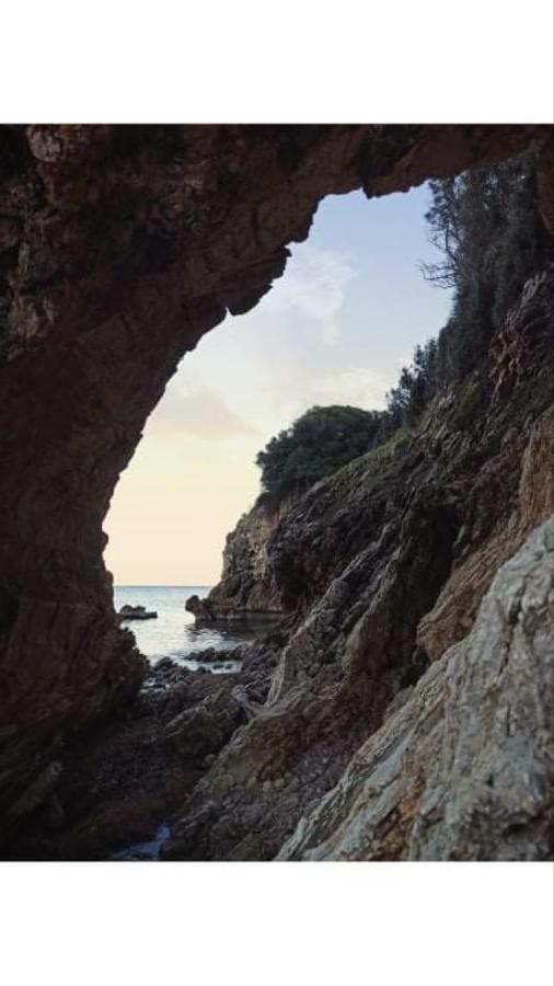 Αγρόκτημα Χελωναριά - Agroktima Chelonaria Ostello Chrani Esterno foto