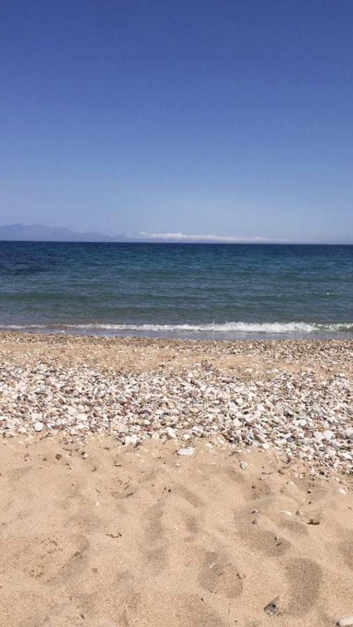 Αγρόκτημα Χελωναριά - Agroktima Chelonaria Ostello Chrani Esterno foto