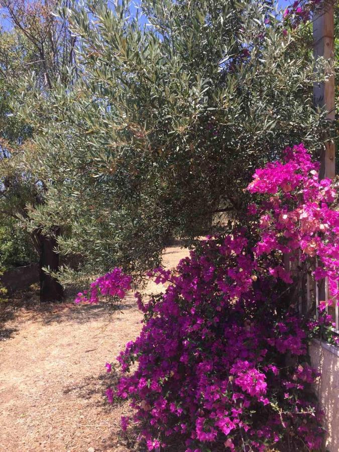Αγρόκτημα Χελωναριά - Agroktima Chelonaria Ostello Chrani Esterno foto