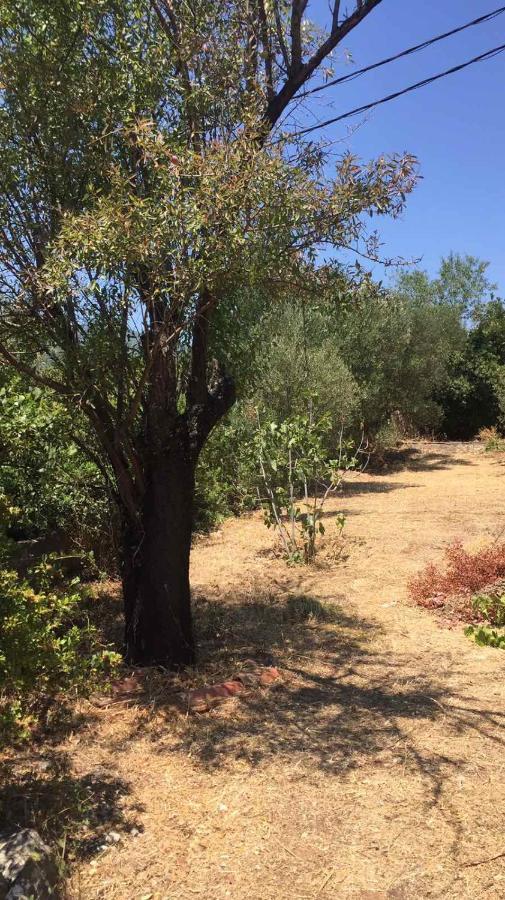 Αγρόκτημα Χελωναριά - Agroktima Chelonaria Ostello Chrani Esterno foto